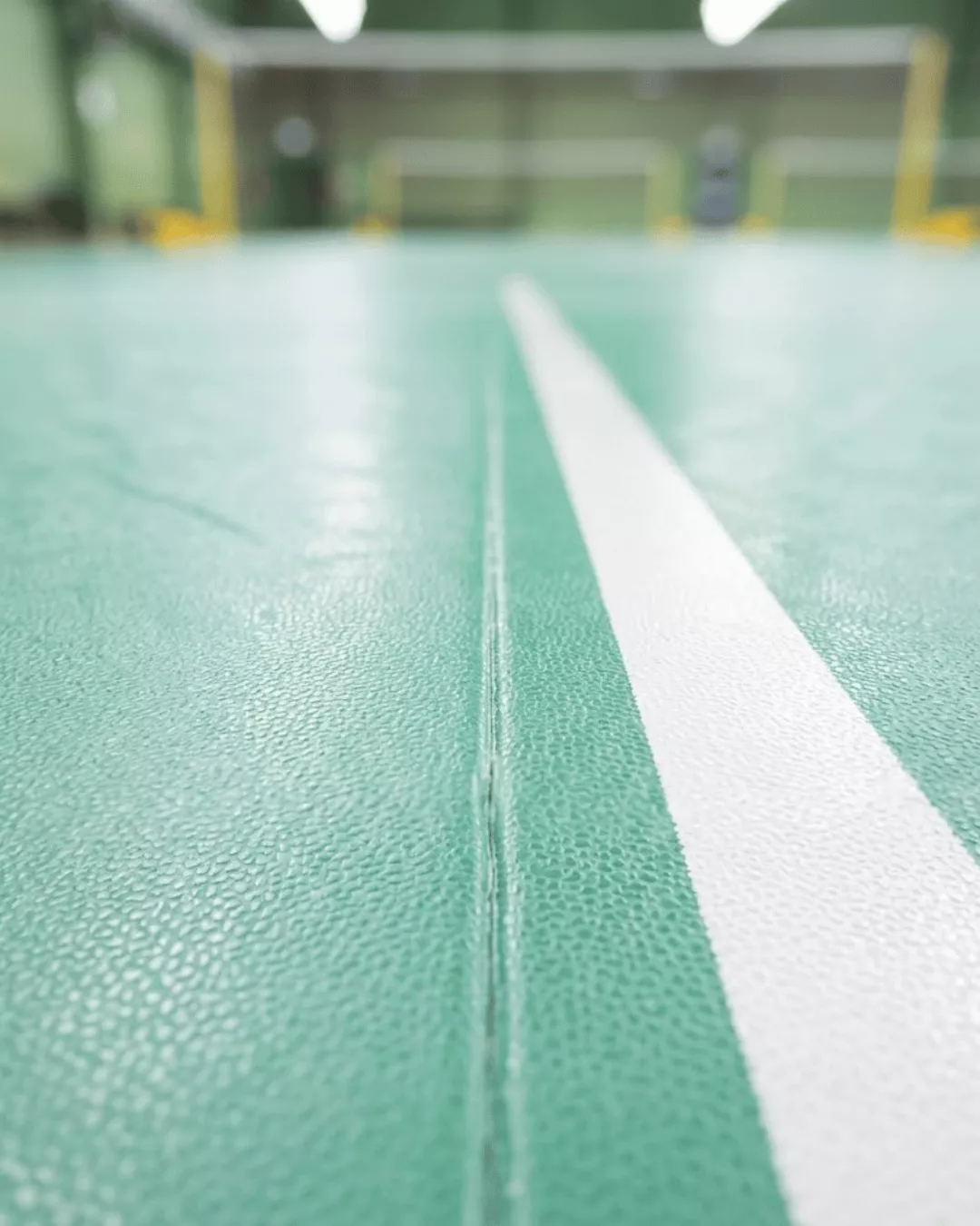 jual vinyl lapangan badminton 2
