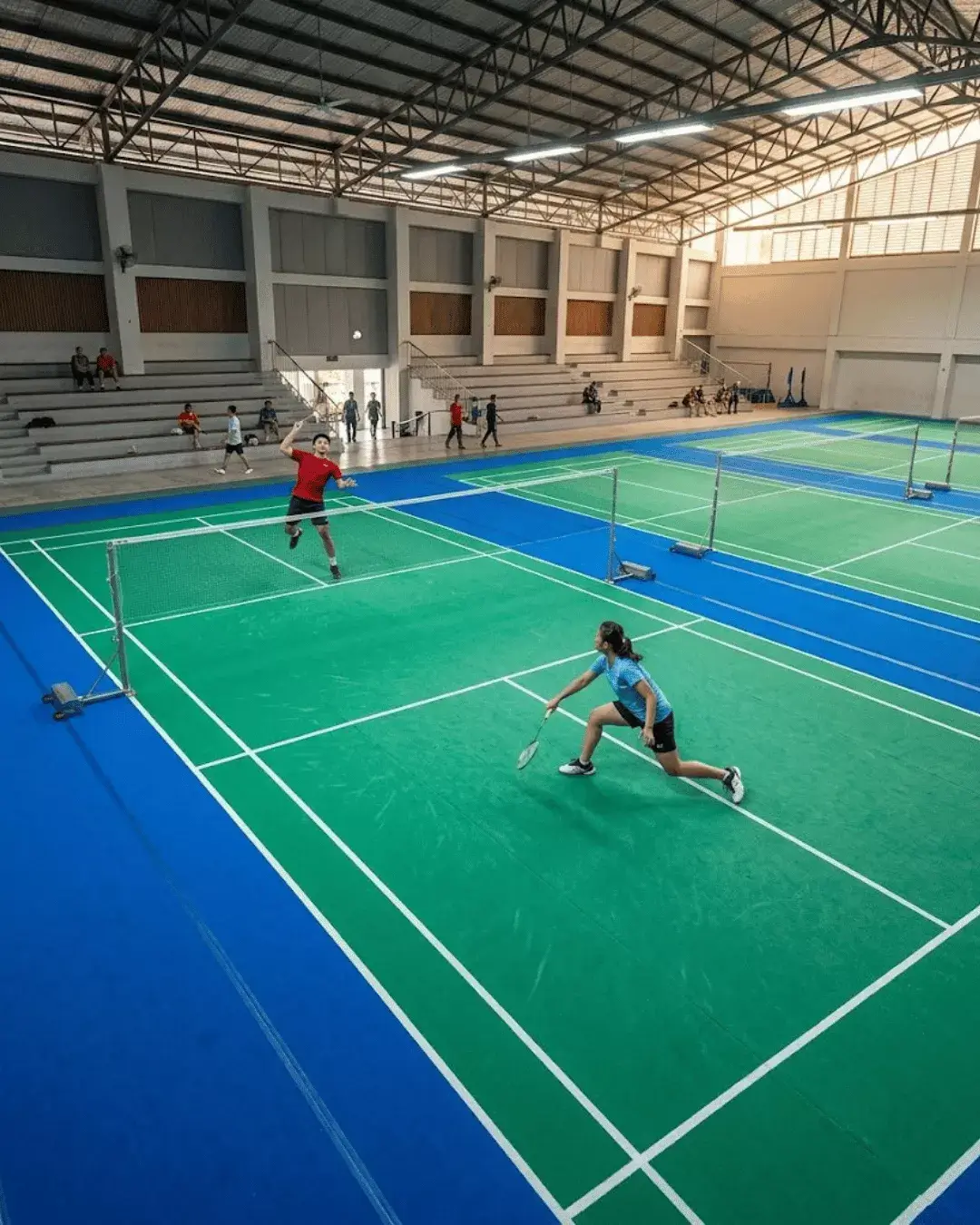 karpet badminton enlio alite 2