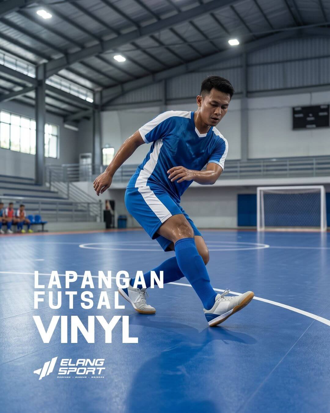 lapangan futsal vinyl