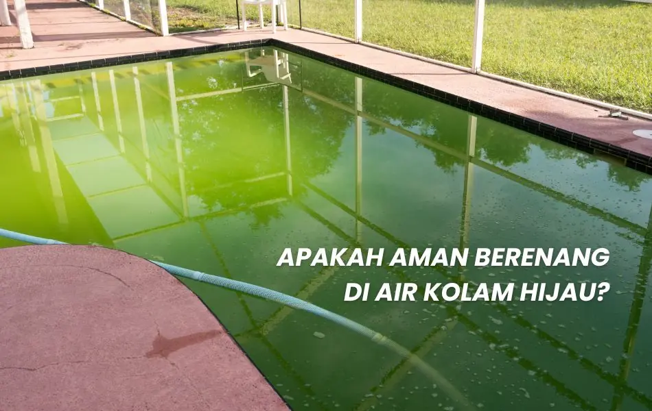 air kolam renang berwarna hijau