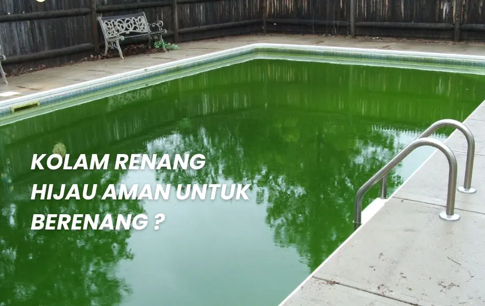 air kolam renang warna hijau