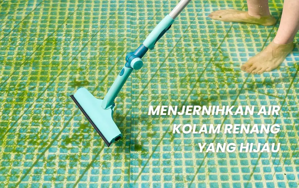 cara mengatasi air kolam renang berwarna hijau