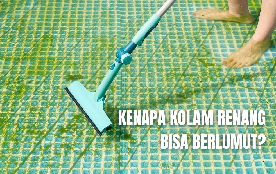 kolam renang berlumut
