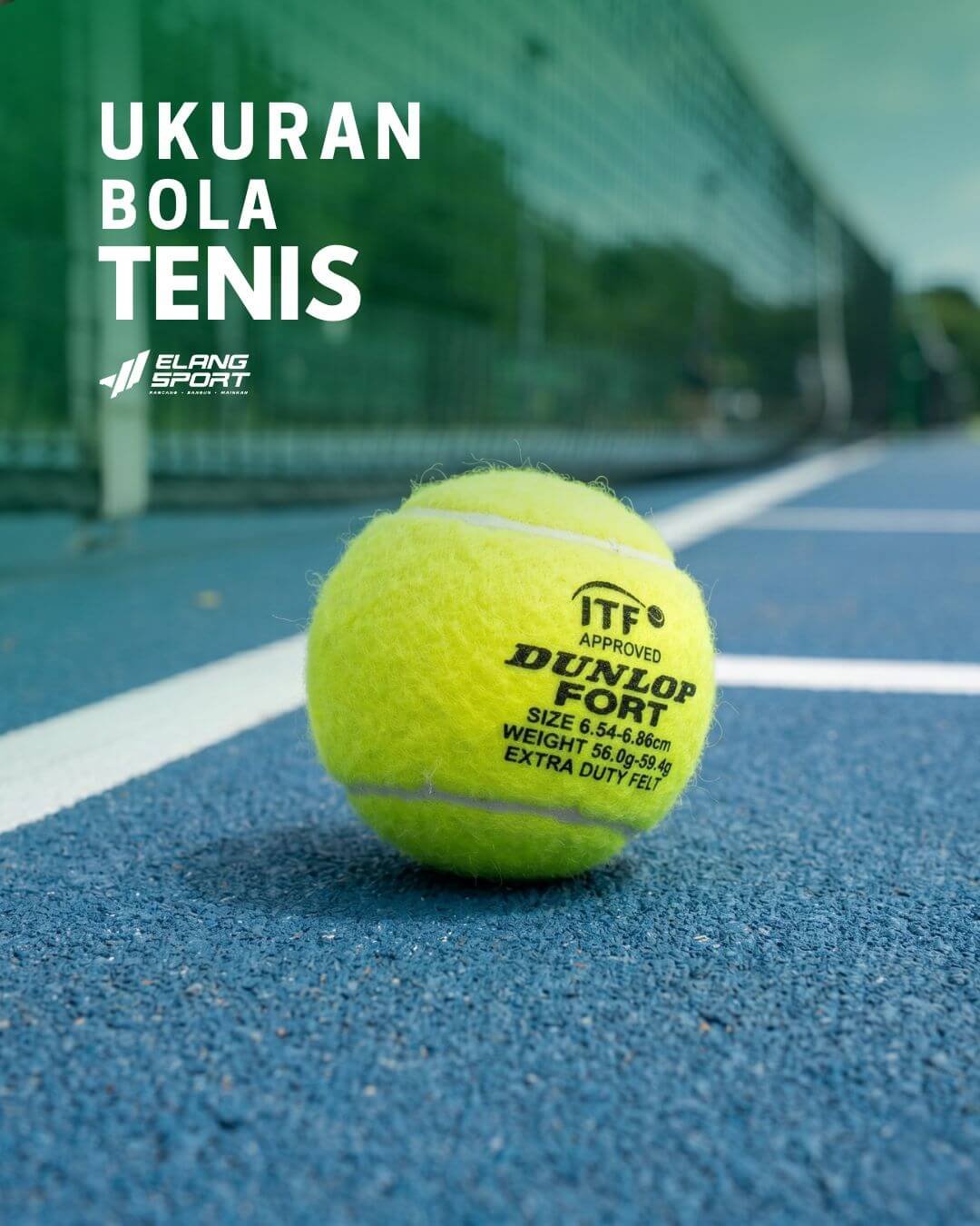 bola tenis lapangan