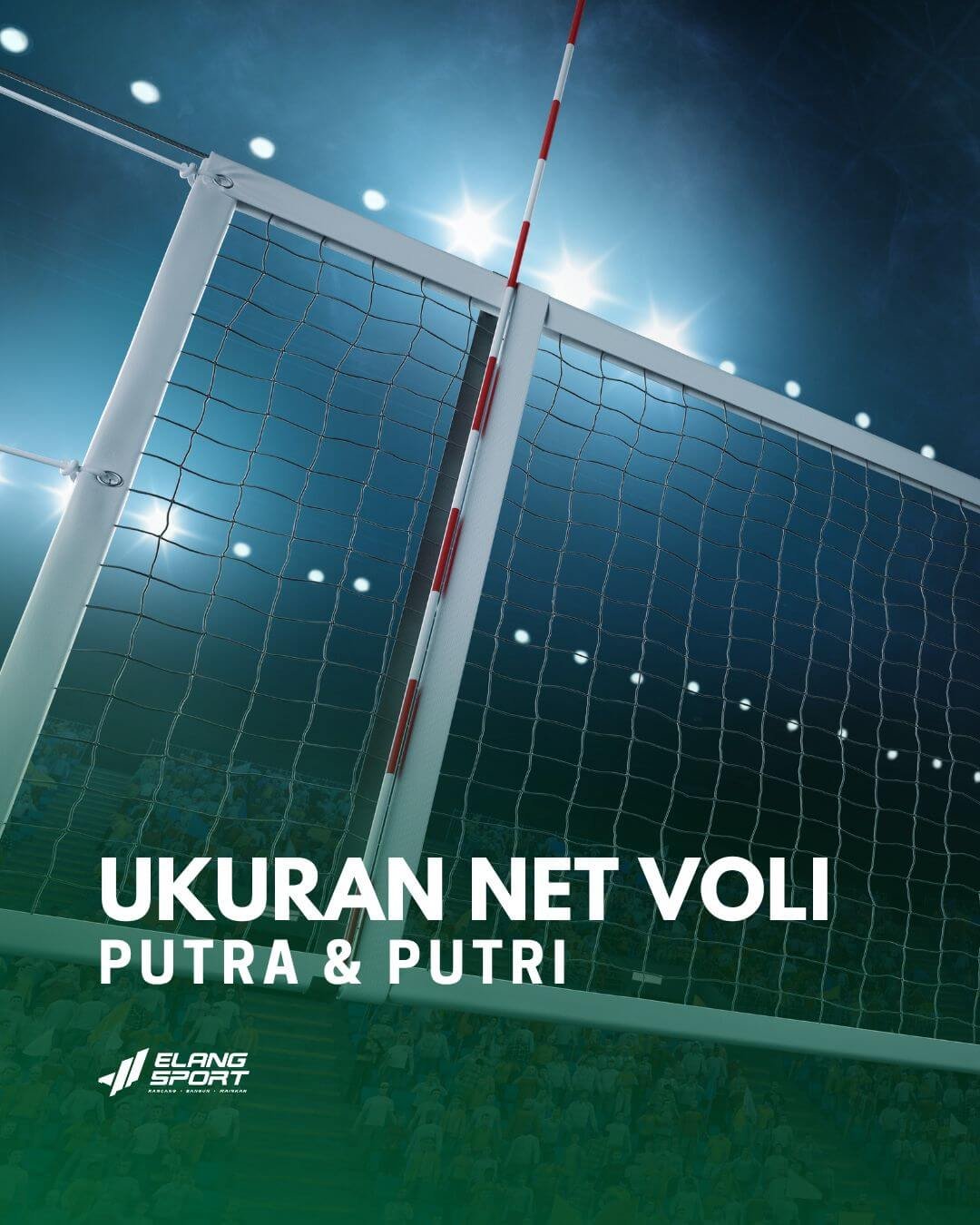 ukuran net voli putra dan putri