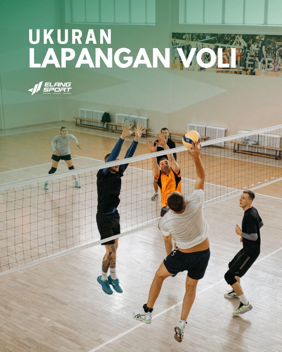 ukuran lapangan voli