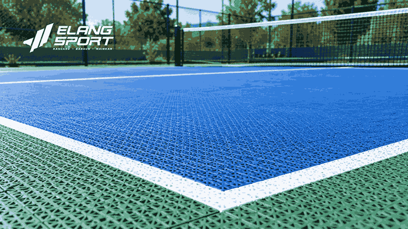 distributor interlock pickleball